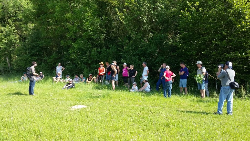 Randonnée commentée sur la rivière et les zones humides